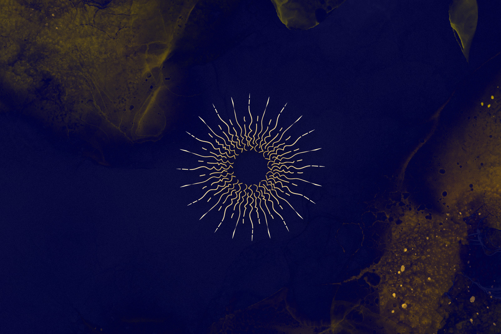 Lumier Luxe brand identity